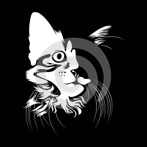 Silhouette of cute cat face isolated on black background vector illustration