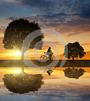 Silhouette of the cyclist