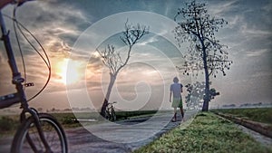 Silhouette of a cyclist on the rice field