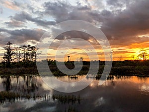 Silhouette of cypress trees and bayou during sunset in the swamp