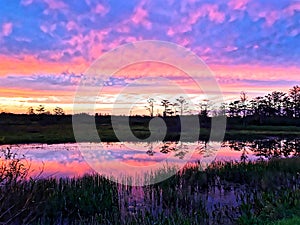 Silhouette of cypress trees and bayou during sunset in the swamp