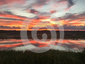 Silhouette of cypress trees and bayou during sunset in the swamp