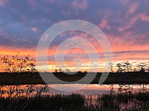 Silhouette of cypress trees and bayou during sunset in the swamp