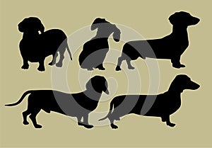 Silhouette of dachshund