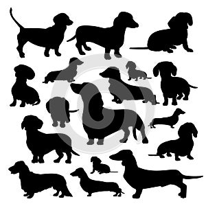 Silhouette of a Dachshund. Black silhouette of a dog, set of illustrations on a white