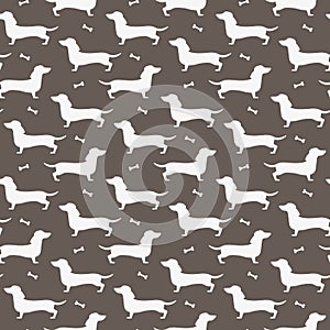 Silhouette of the dachshund on the gray background.