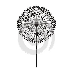 Silhouette dandelion with stem and pistil