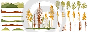 Silhouette of deciduous and coniferous trees. Creation of autumn beautiful park, forest, landscape, woodland, collection of