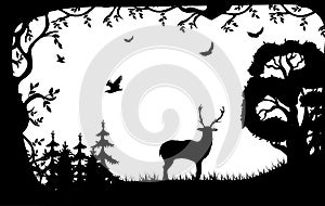 Silhouette of a deer and birds on the background of the forest