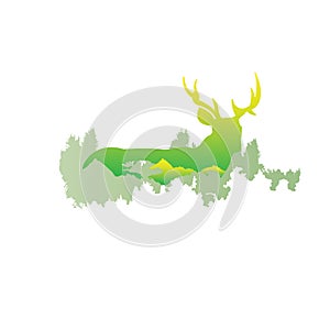 Silhouette of a deer Inside the pine forest, bright colors