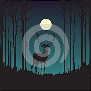 Silhouette of a deer, stag in the night. Beautiful vector art illustration