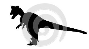 Silhouette Dinosaur. Black Vector Illustration.