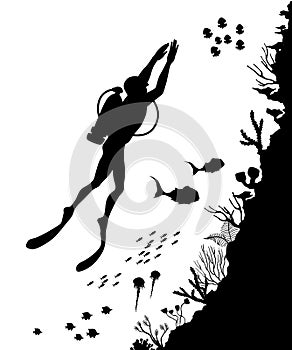 Silhouette of Diver and reef Underwater wildlif photo