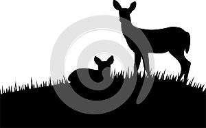 Silhouette doe with fawn photo