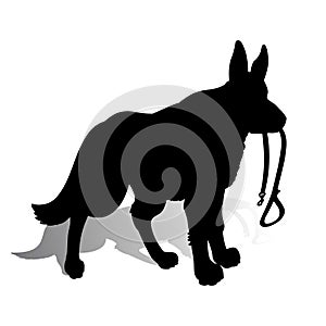Silhouette of a Dog German Shepherd holding a leash, on a whit