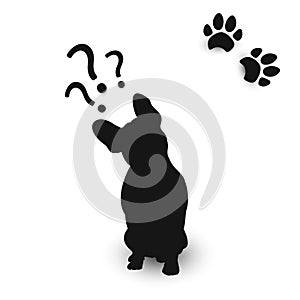 Silhouette of a dog with a tilted head, dog tracks and question marks.