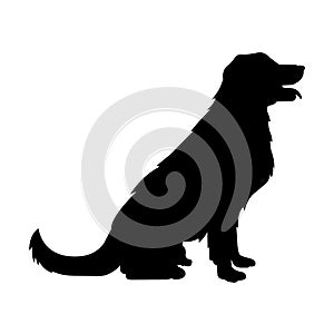 Silhouette of a dog vector image isolated. best for animal club lover illustration