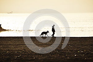 Silhouette of a dog walking