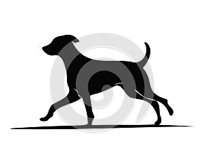 silhouette of a dog, walking dog, black dog, pet dog walk