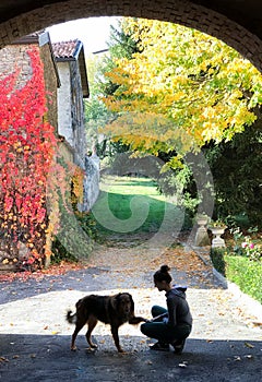 silhouette of dog and young woman playing in the garden in autumn