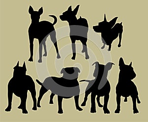 Silhouette of the dogs