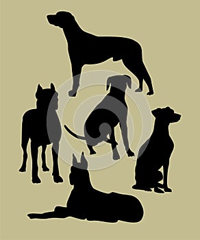 Silhouette of the dogs