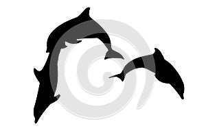 Silhouette of dolphins jumping