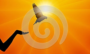 Silhouette of dove bird flew up from female hand on background of sunset with rays of sun. Vector illustration