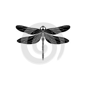 Silhouette of a dragonfly. Glyph icon of insect, simple shape of damselfly. Black vector illustration on white. Perfect for