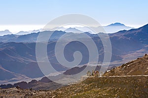 Silhouette dromedar camel on the background of the mountain of St. Moses, Egypt, Sinai