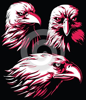 Silhouette Eagle Falcon Head Logo Vector Isolated Mascot Badge on Black and White Style photo