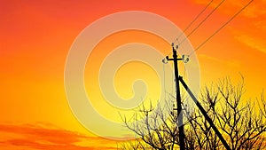Silhouette of an electric pillar and a trees in the orange sky at sunset