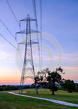 Silhouette electric pole and high voltage tower.