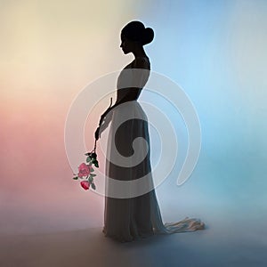 Silhouette elegant woman on colors background