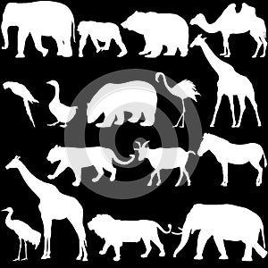 Silhouette elephant bear eagle trot duck zebra on a white background