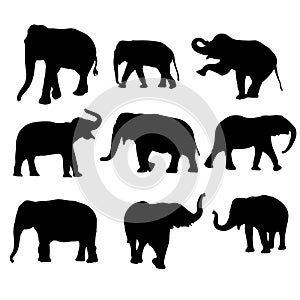 silhouette Elephant-9 nos photo