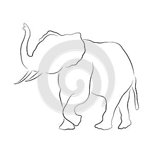 Silhouette of an elephant with a raised trunk in the style of minimalism. The design is suitable for decor, logo, tattoos