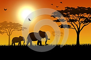 Silhouette of elephant in the savanna