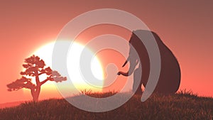 Silhouette of elephant and tree