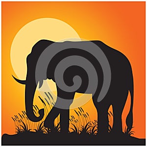 silhouette of elephant. Vector illustration decorative design