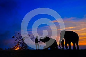 SILHOUETTE OF ELEPHANTS AND THEIR KEEPERS