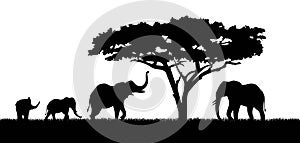 Silhouette of elephants and tree