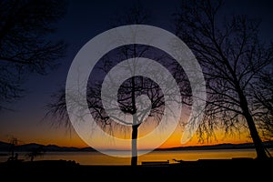 Silhouette of an empty tree in winter on the shores of Lac Leman in Switzerland on a beautiful colorful sunset