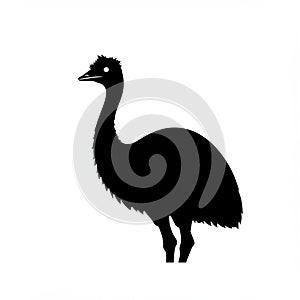 Silhouette of an emu (Dromaius novaehollandiae), displaying a distinctive tall, slender photo