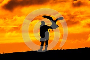 Silhouette of falconer with eagle. Hunting in the nature.