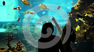 Silhouette Of Family. Daughter With Mother Excited To Watch The Dolphin Swimming Under Water In The Aquarium.