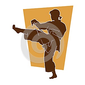 Silhouette of a female athlete kata karate vector