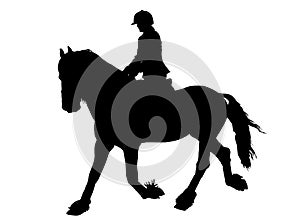 Silhouette of Female Rider on Lipizzaner horse
