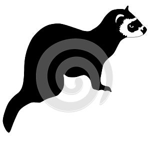 Silhouette of ferret