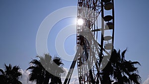 Silhouette of Ferris Wheel against the Sun Blue Sky near the Palm Trees in Sunny Day